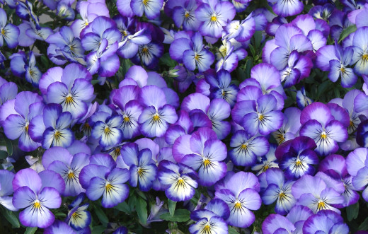 1025399 (a): :1920x1221